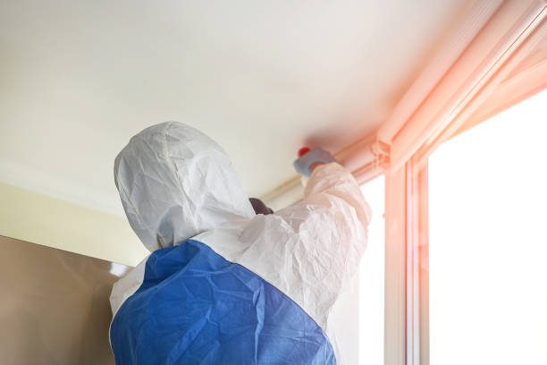 Why You Should Choose Our Mold Remediation Services in Friday Harbor, WA